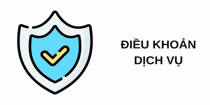 Giới thiệu tổng quan về Điều khoản dịch vụ
